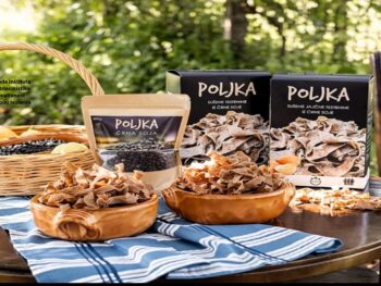 Linija izdelkov Poljka